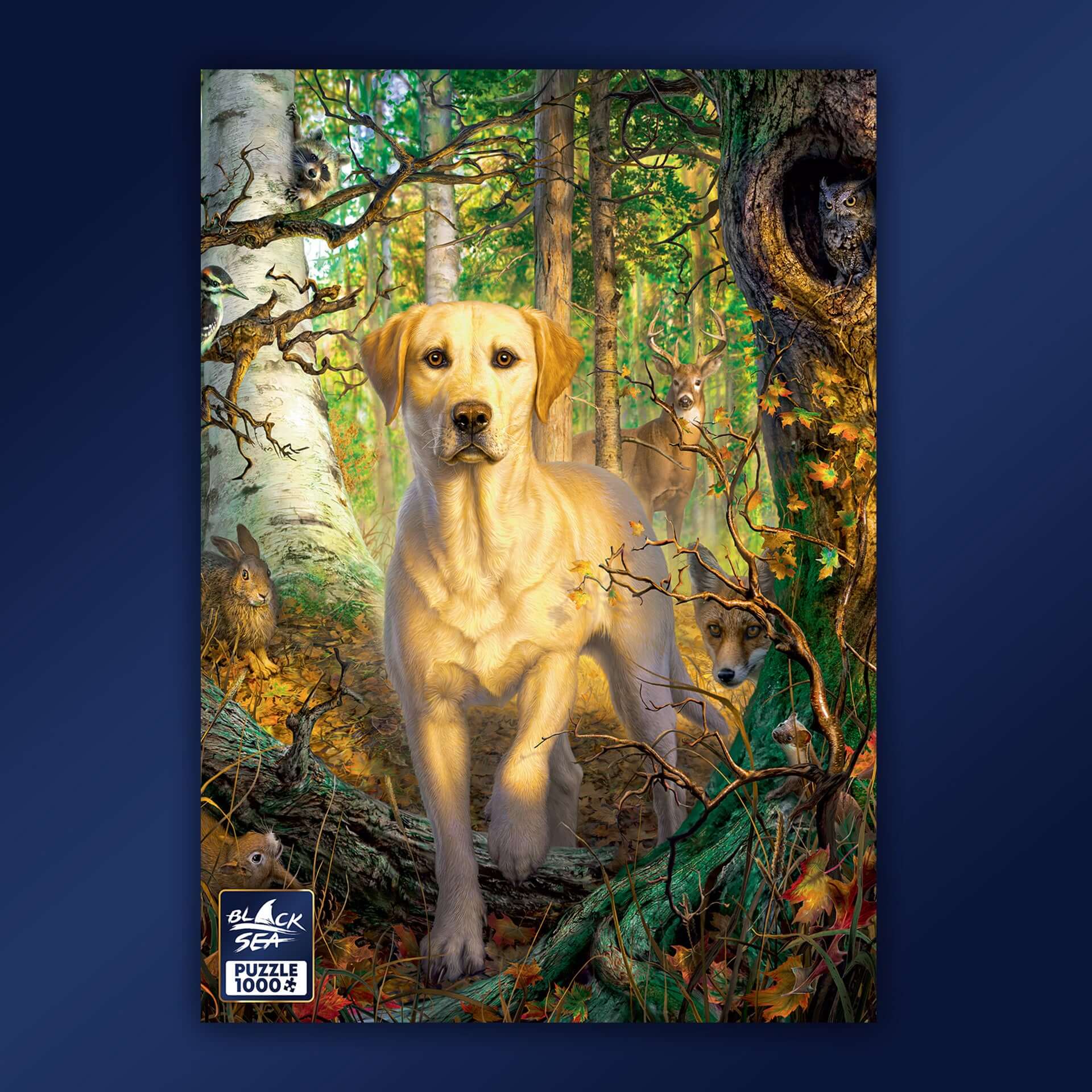 Puzzle Black Sea 1000 pieces - Forest adventure, Every day we choose a different trail across the woods so we add diversity to our route. But there is one trail we love; it is greener, beautiful, alive with forest wildlife. Me and my Labrador never miss t