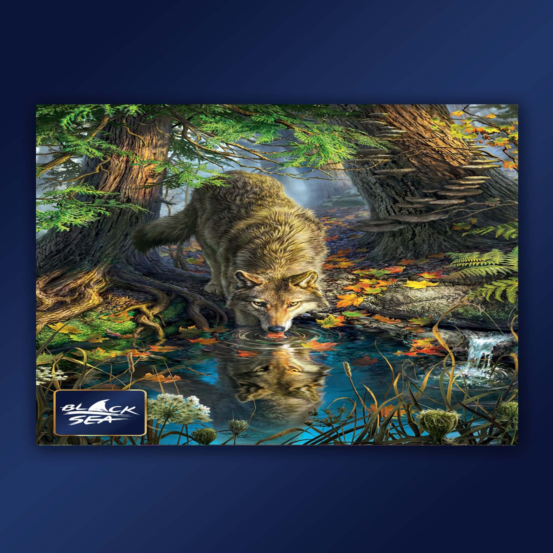 Puzzle Black Sea 1000 pieces - Thirst, --