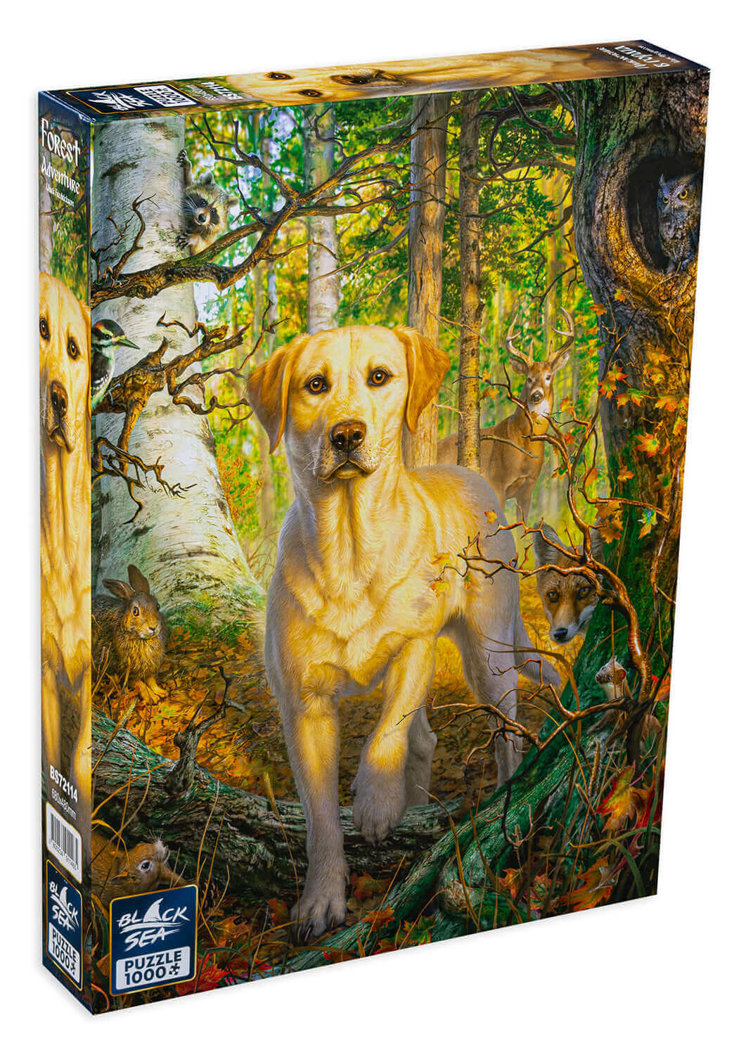 Puzzle Black Sea 1000 pieces - Forest adventure, Every day we choose a different trail across the woods so we add diversity to our route. But there is one trail we love; it is greener, beautiful, alive with forest wildlife. Me and my Labrador never miss t